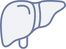 liver icon